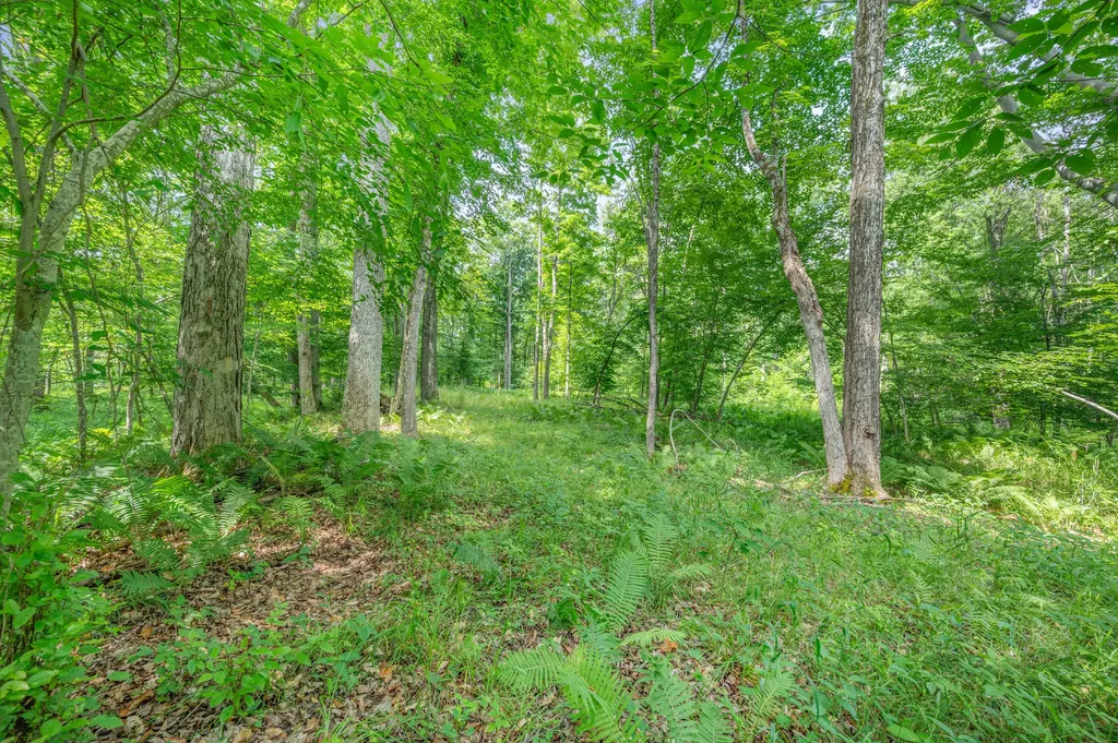 8558 Monterey Drive Sylvan Township MI 49631