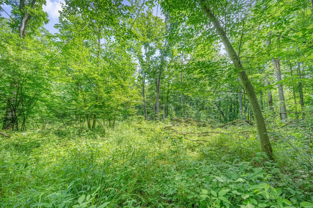 8558 Monterey Drive Sylvan Township MI 49631