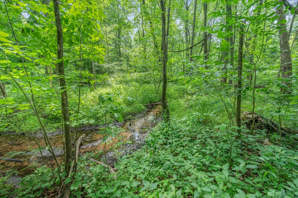 8558 Monterey Drive Sylvan Township MI 49631