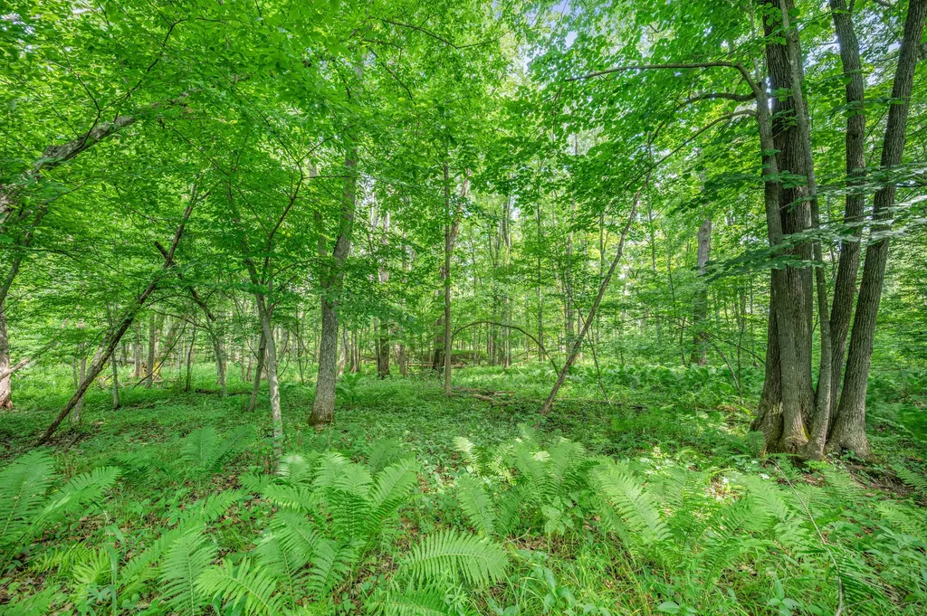 8558 Monterey Drive Sylvan Township MI 49631