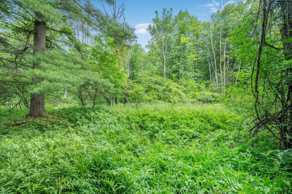 8558 Monterey Drive Sylvan Township MI 49631