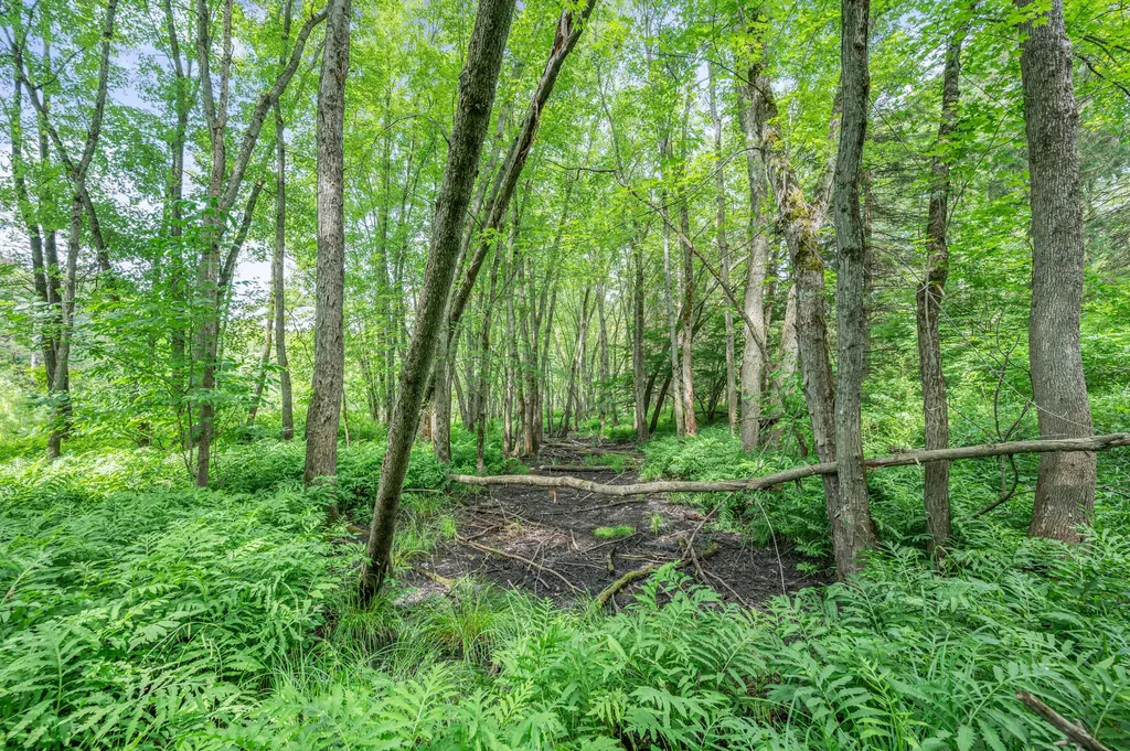 8558 Monterey Drive Sylvan Township MI 49631