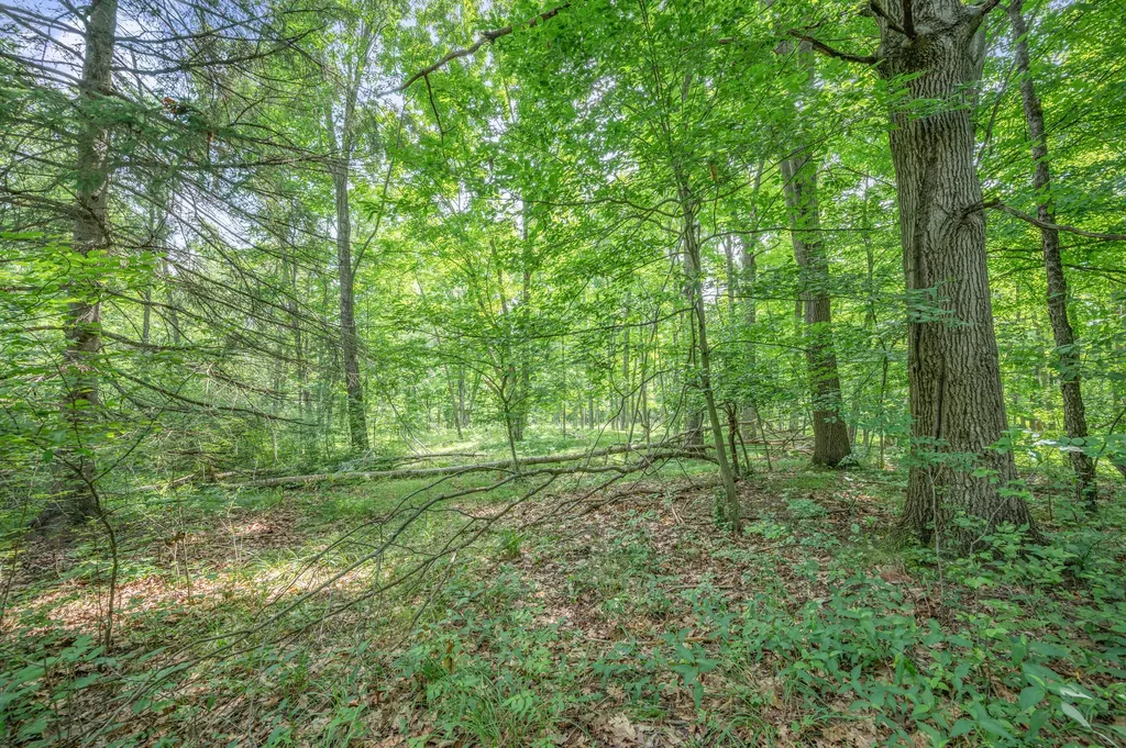 8558 Monterey Drive Sylvan Township MI 49631