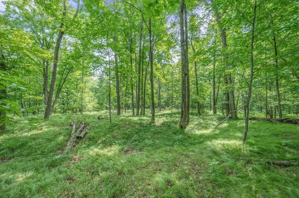 8558 Monterey Drive Sylvan Township MI 49631