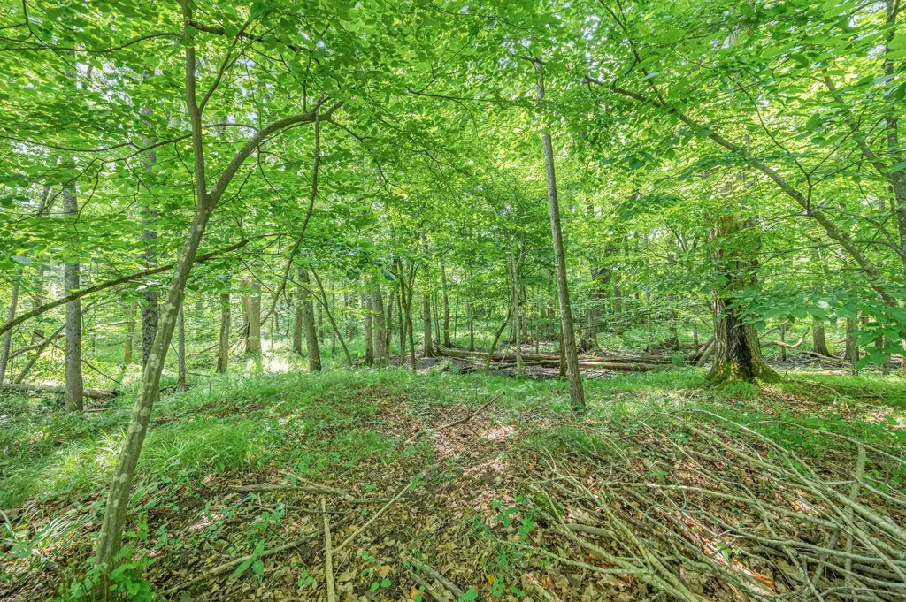 8558 Monterey Drive Sylvan Township MI 49631