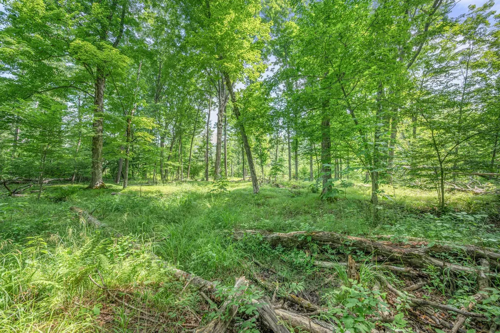 8558 Monterey Drive Sylvan Township MI 49631