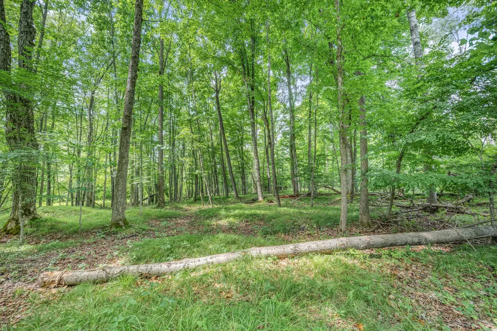8558 Monterey Drive Sylvan Township MI 49631