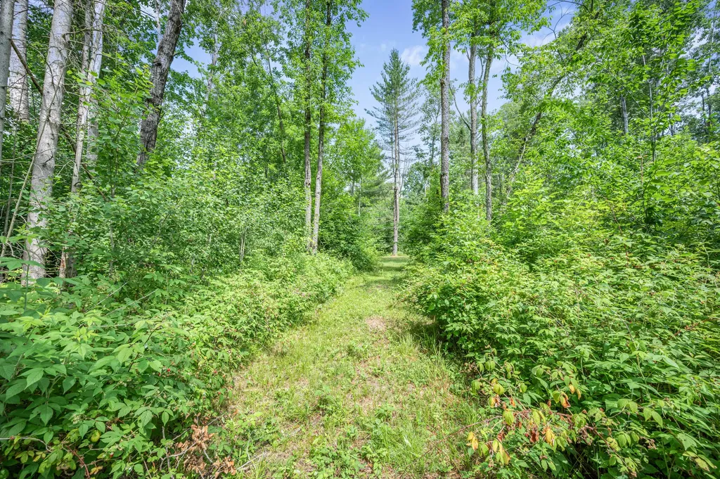 8558 Monterey Drive Sylvan Township MI 49631