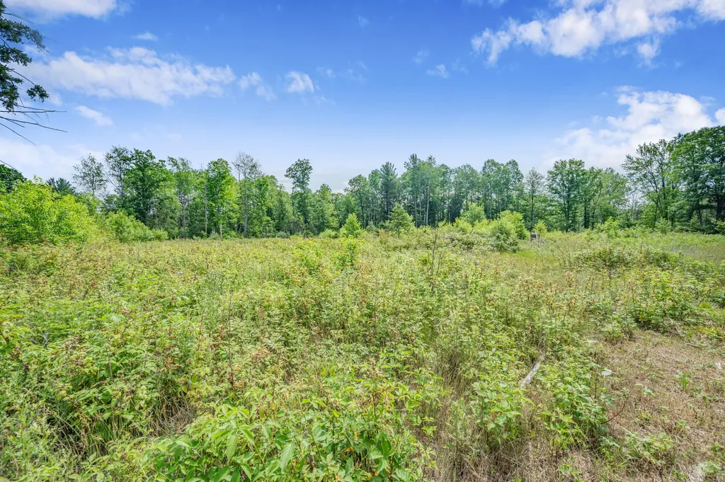 8558 Monterey Drive Sylvan Township MI 49631