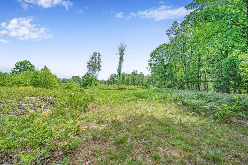 8558 Monterey Drive Sylvan Township MI 49631