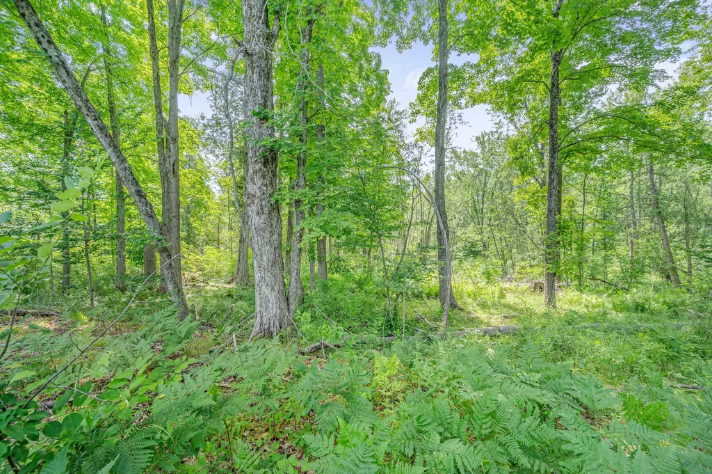 8558 Monterey Drive Sylvan Township MI 49631