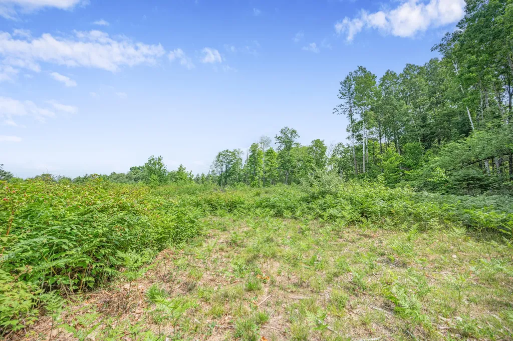 8558 Monterey Drive Sylvan Township MI 49631