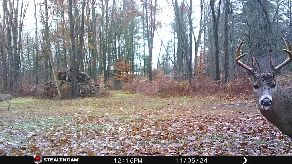 8558 Monterey Drive Sylvan Township MI 49631