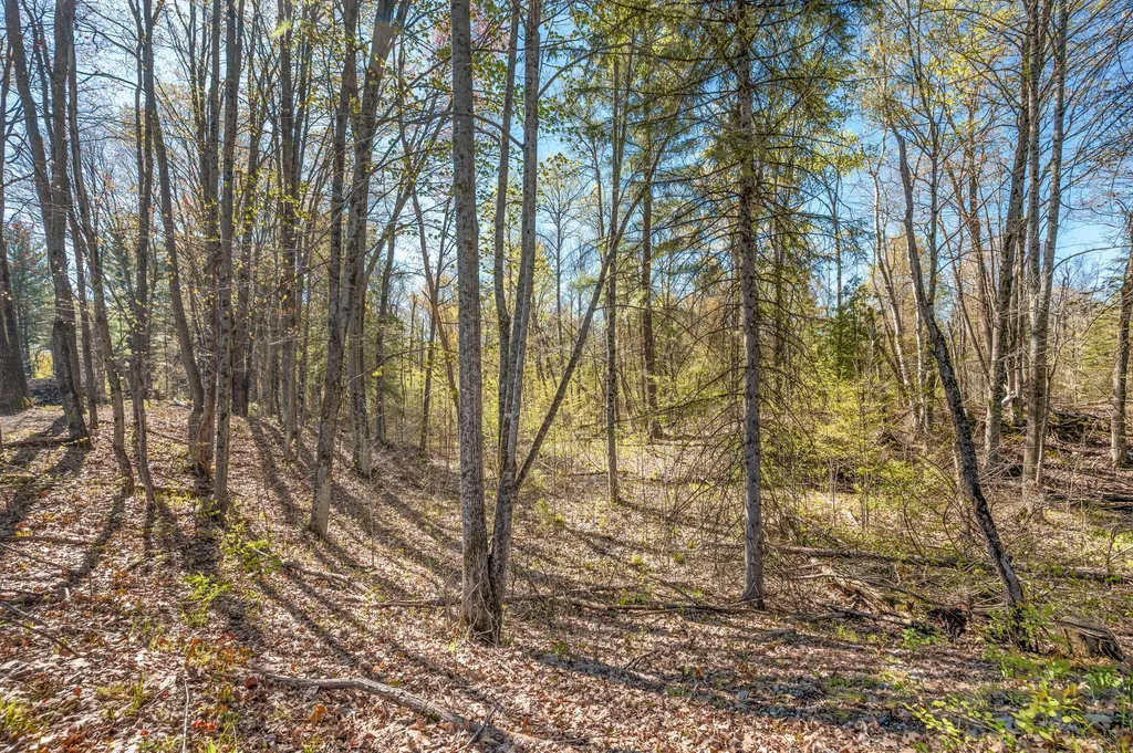 8558 Monterey Drive Sylvan Township MI 49631