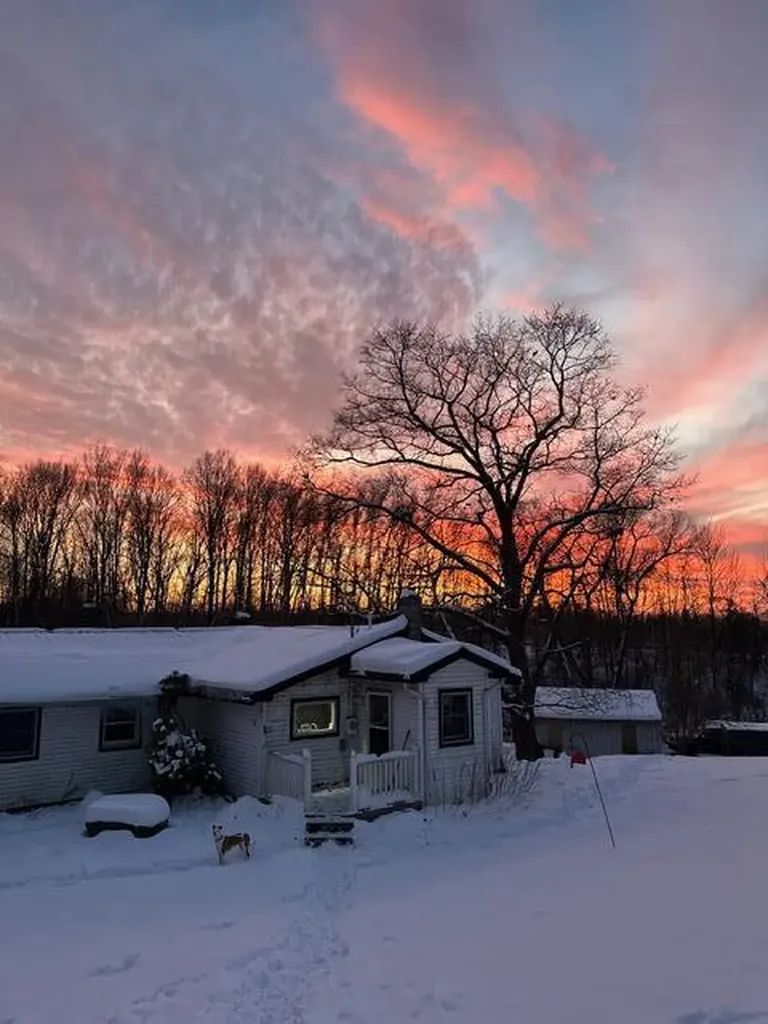 1674 W 104th Street Ashland Township MI 49327