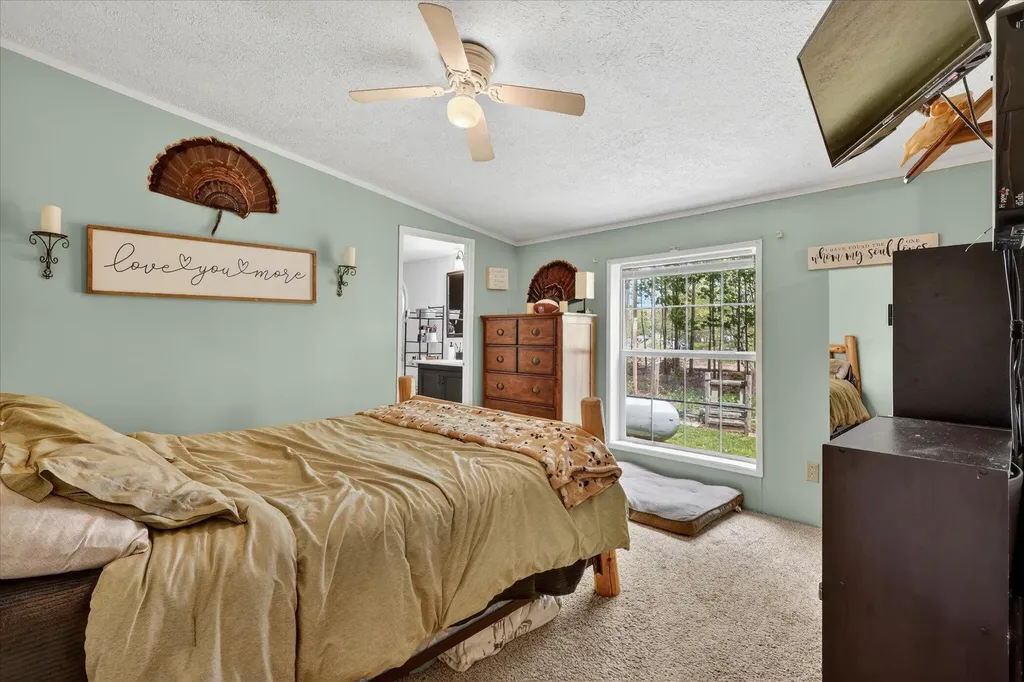 6820 Fuller Road Montcalm Township MI 48838