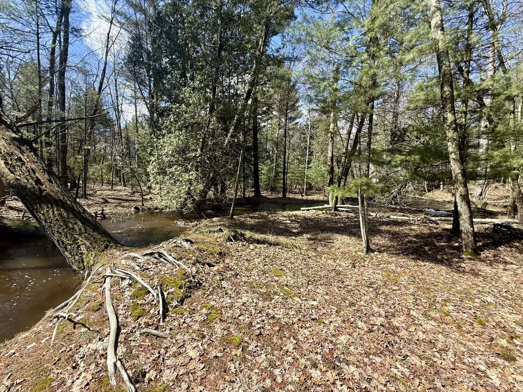 4047 E Creek Wood Drive Cherry Valley Township MI 49623