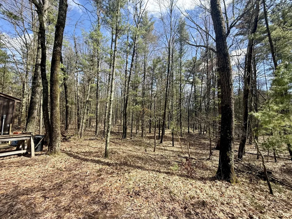 4047 E Creek Wood Drive Cherry Valley Township MI 49623