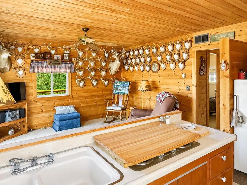 11400 Phoebe Lane Morton Township MI 49332