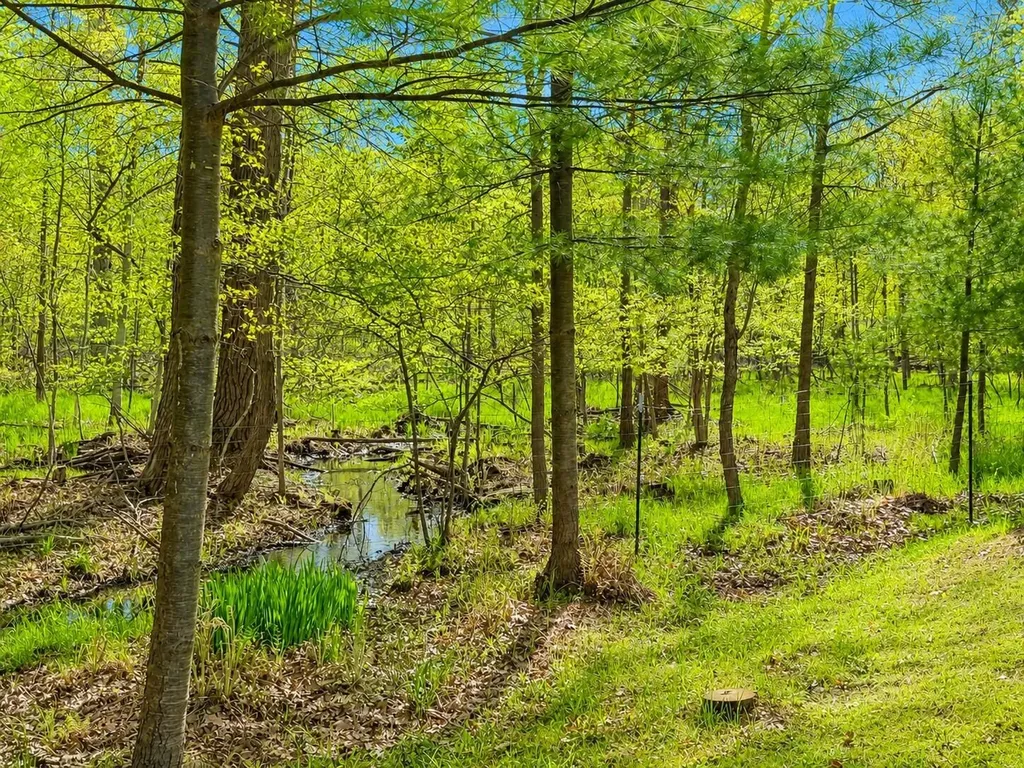 11400 Phoebe Lane Morton Township MI 49332
