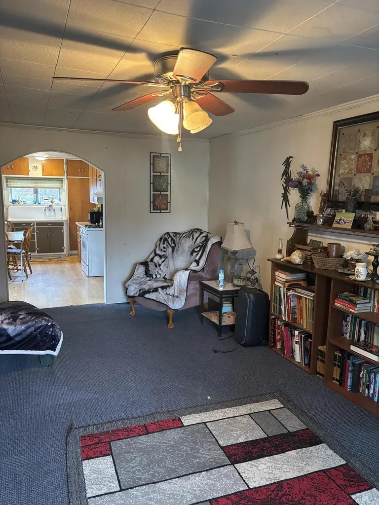 1405 Bjornson Street Big Rapids City MI 49307