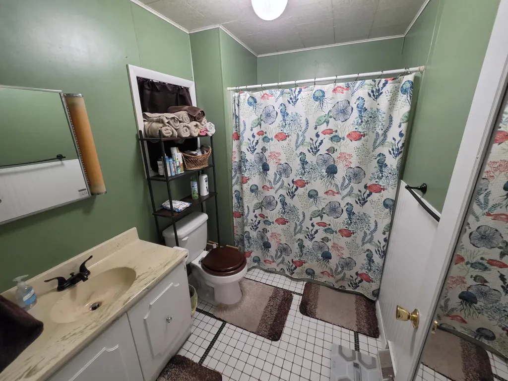 213 S Higbee Street Reed City City MI 49677