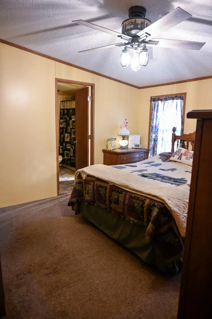 8386 S 135th Avenue Cedar Township MI 49631