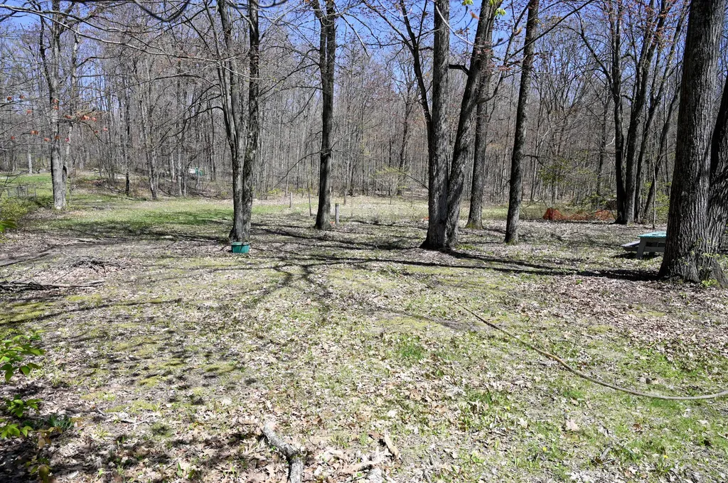 8386 S 135th Avenue Cedar Township MI 49631
