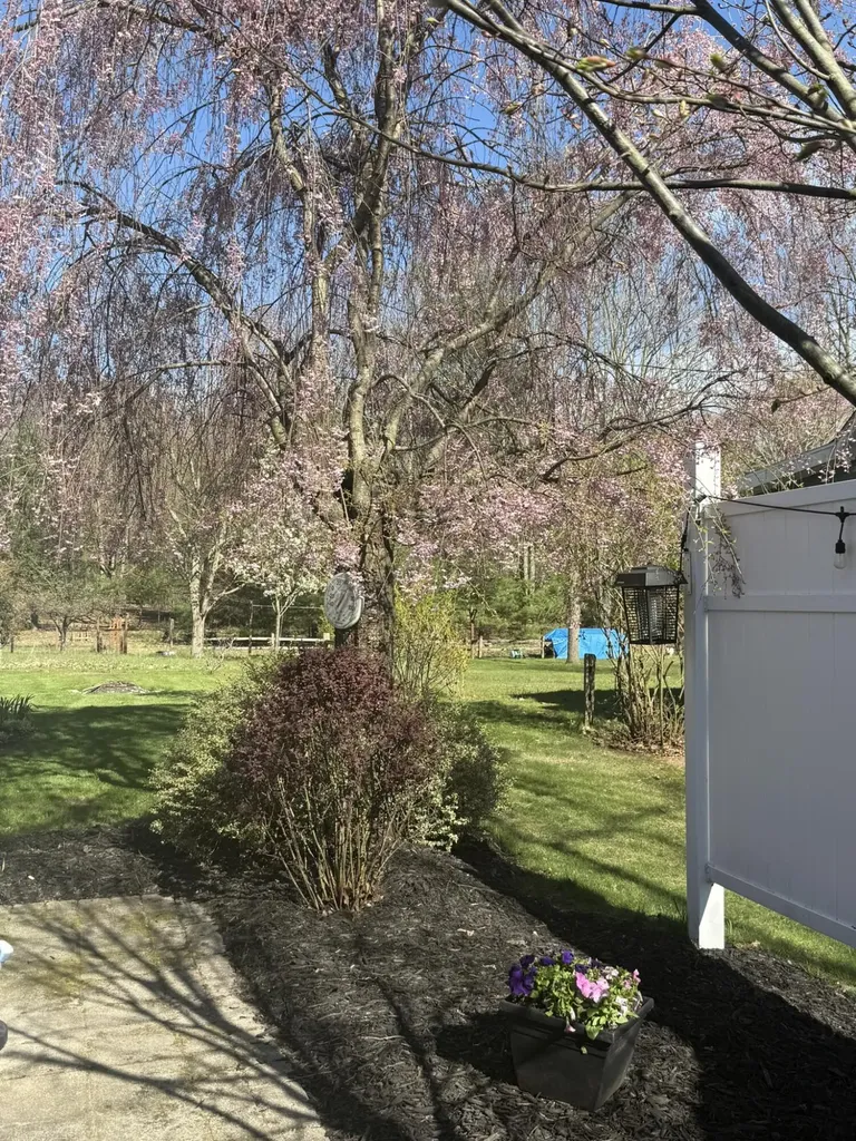2148 N Lakeshore Drive Hamlin Township MI 49431
