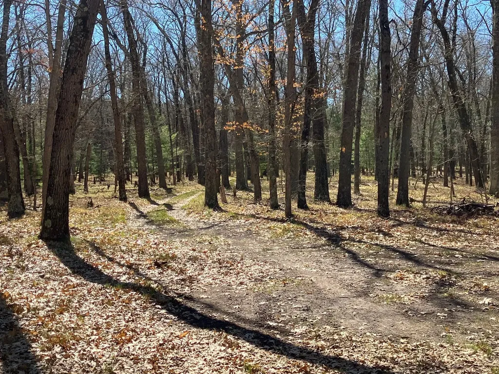 11373 S Rabbit Road Lake Township MI 49304