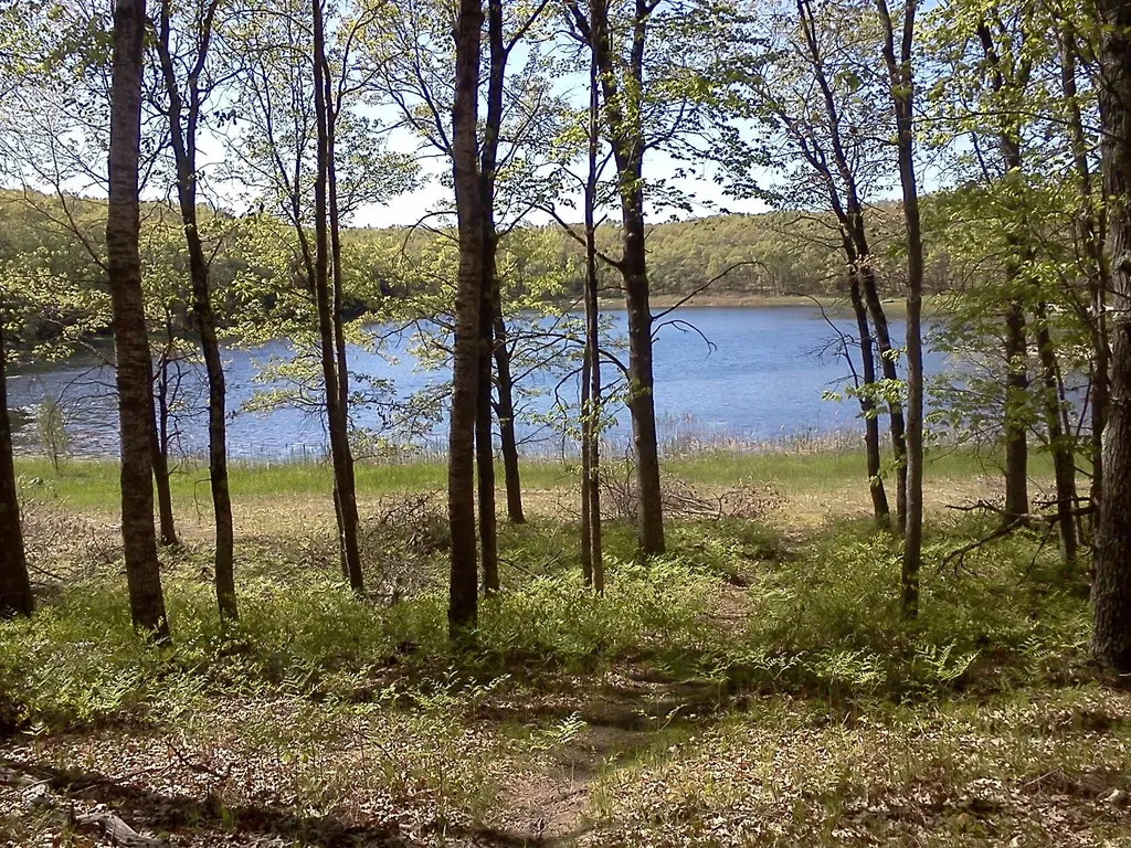 11373 S Rabbit Road Lake Township MI 49304