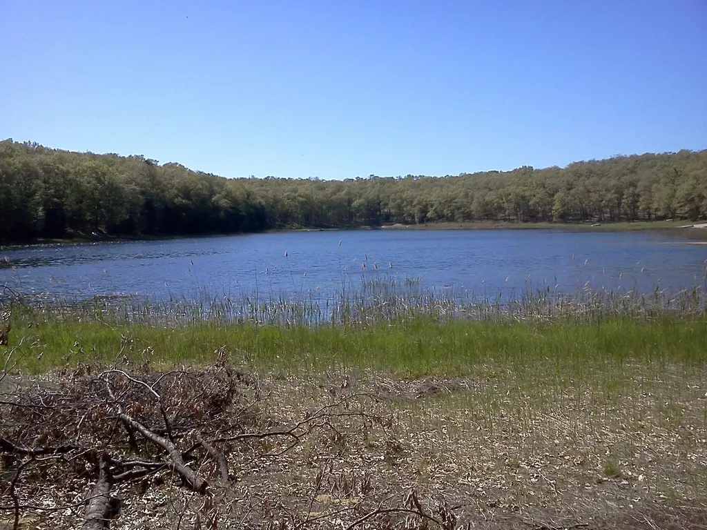 11373 S Rabbit Road Lake Township MI 49304