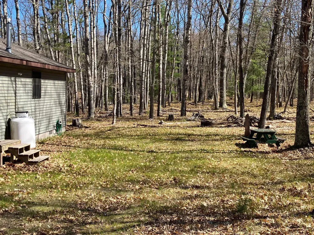 11373 S Rabbit Road Lake Township MI 49304