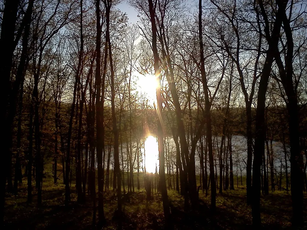 11373 S Rabbit Road Lake Township MI 49304
