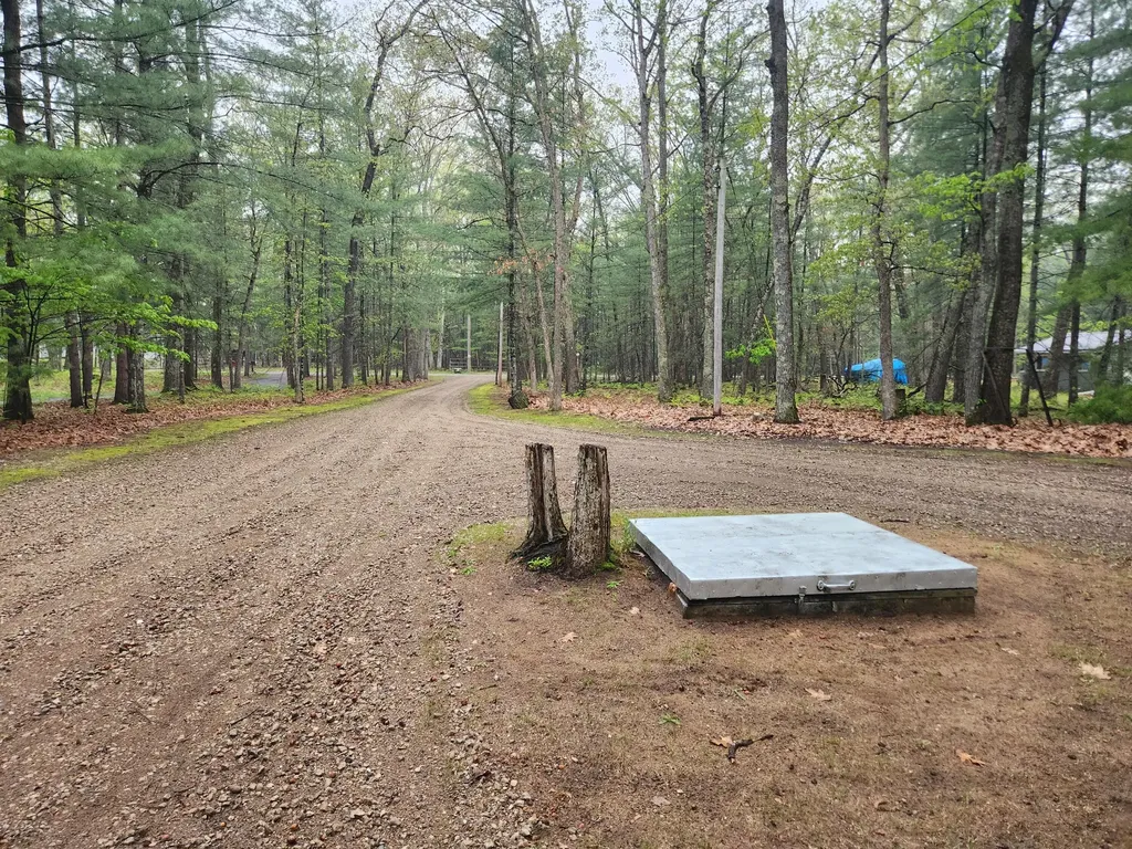 9918 S Rebecca Road Lake Township MI 49304