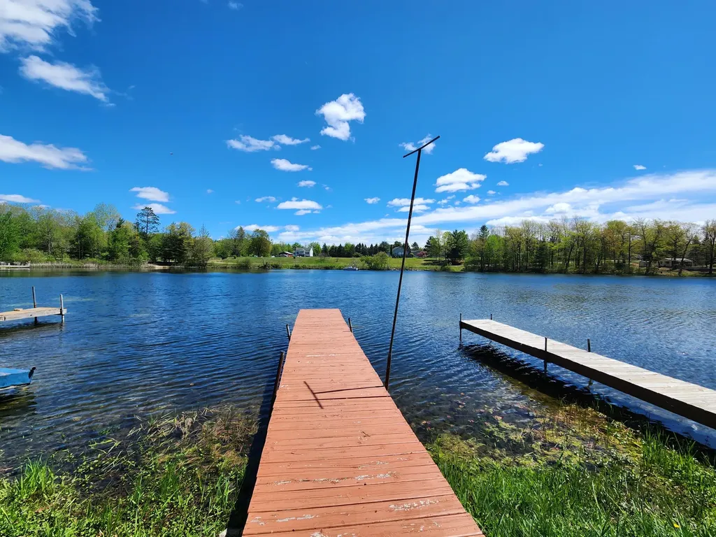 781 N Blue Gill Lake Frost Township MI 48625