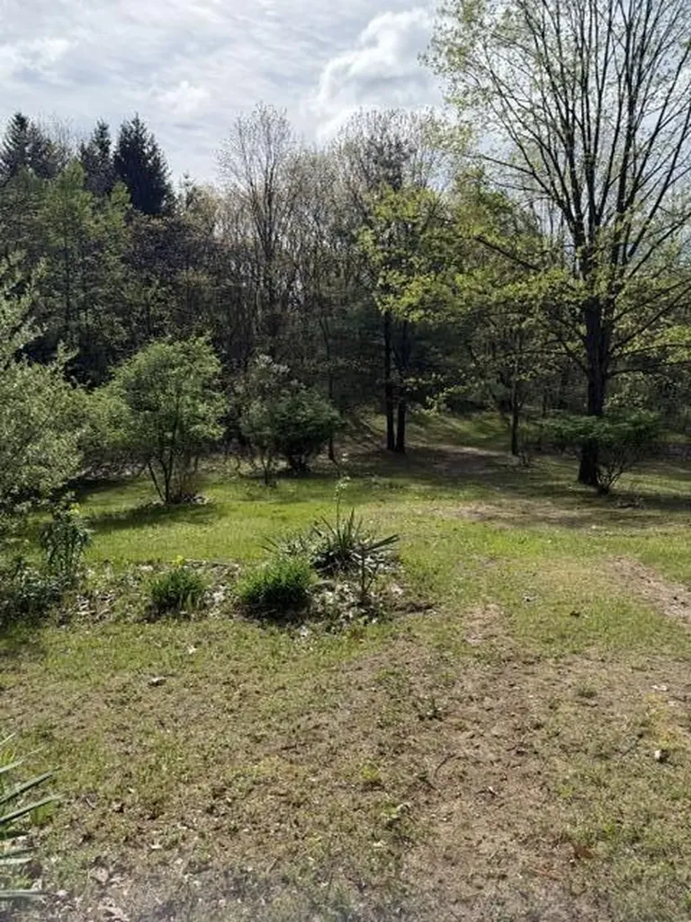 6572 Cottonwood Avenue Norwich Township MI 49307