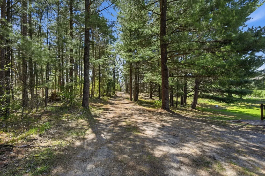 7492 E Townline Lake Road Hamilton Township MI 48625