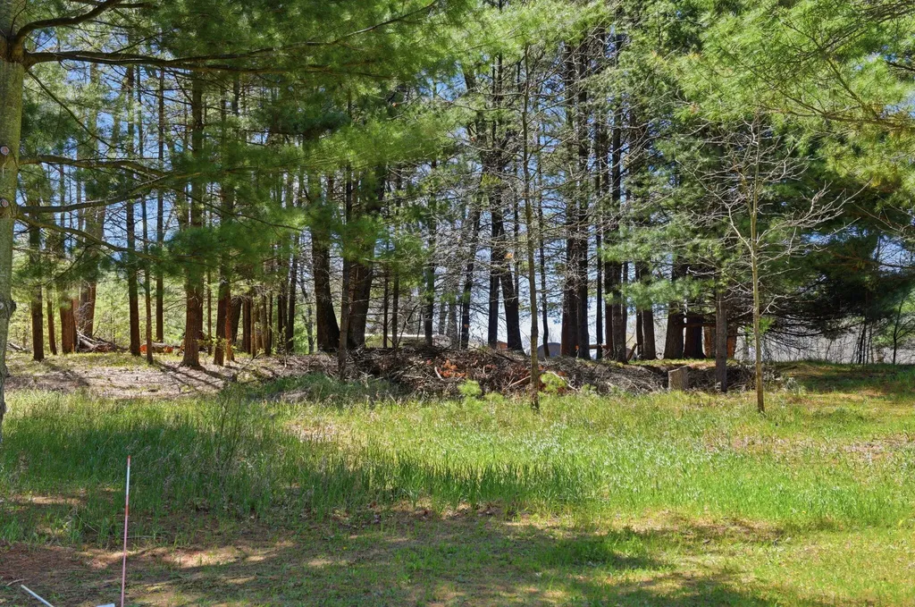 7492 E Townline Lake Road Hamilton Township MI 48625