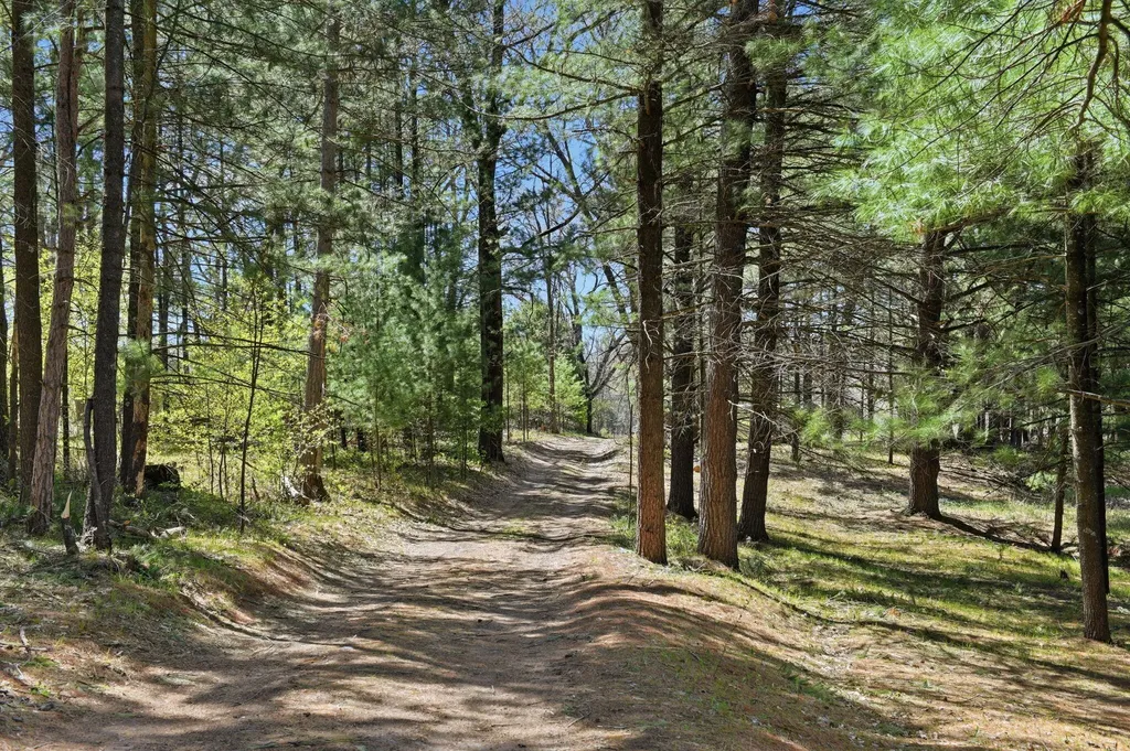 7492 E Townline Lake Road Hamilton Township MI 48625