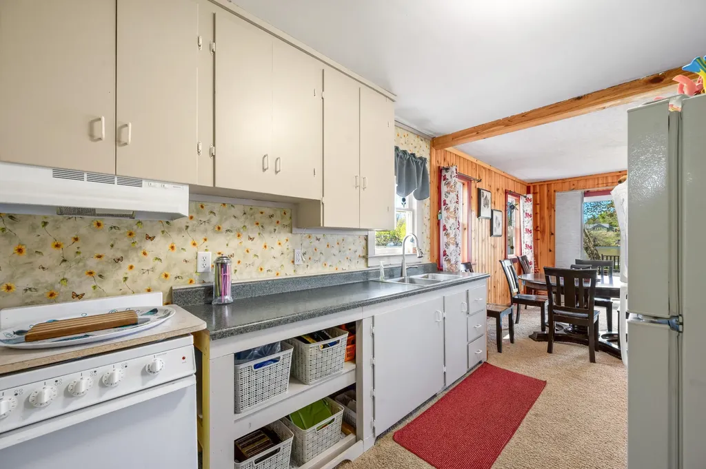 11035 Birchpark Drive Mecosta Township MI 49346