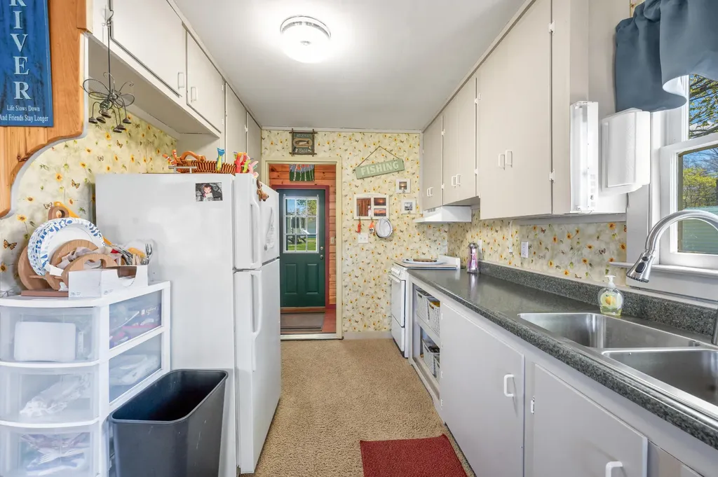 11035 Birchpark Drive Mecosta Township MI 49346