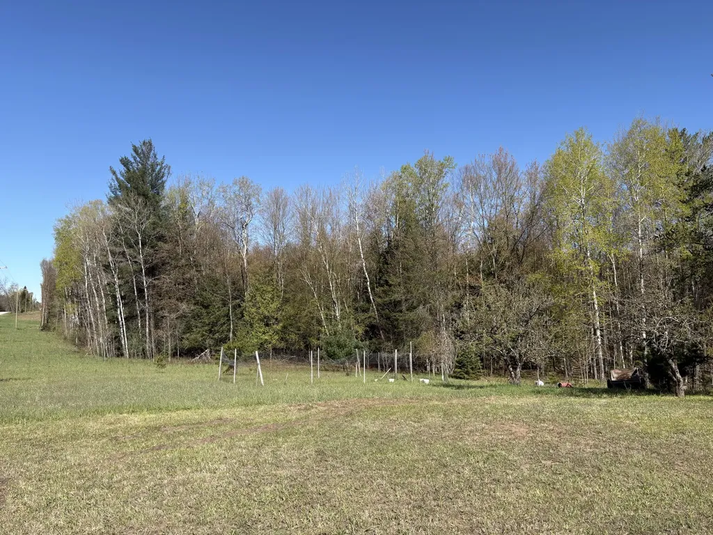 11904 E 8th Street Pinora Township MI 49677