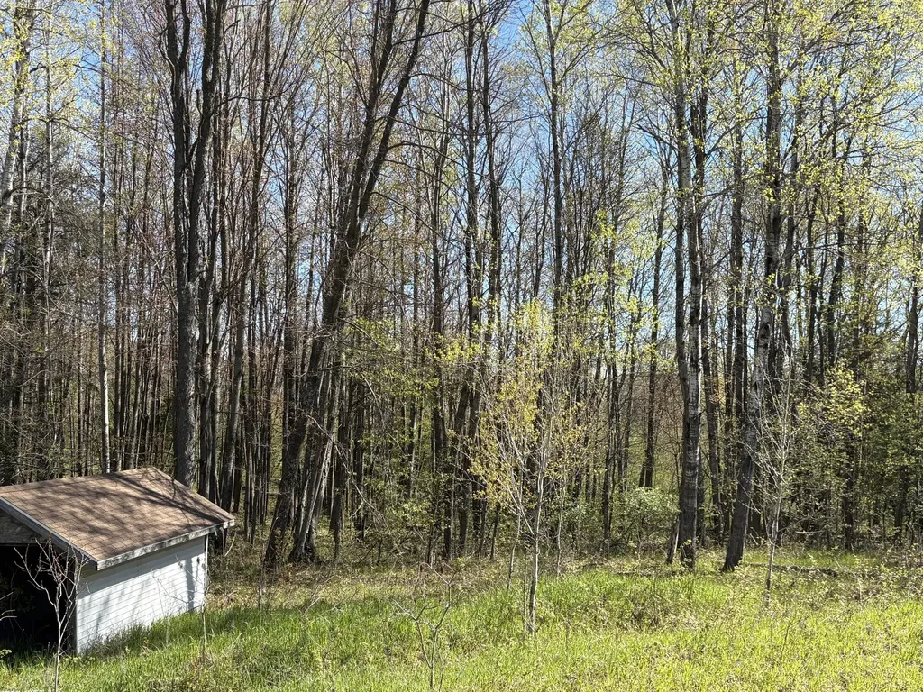 11904 E 8th Street Pinora Township MI 49677