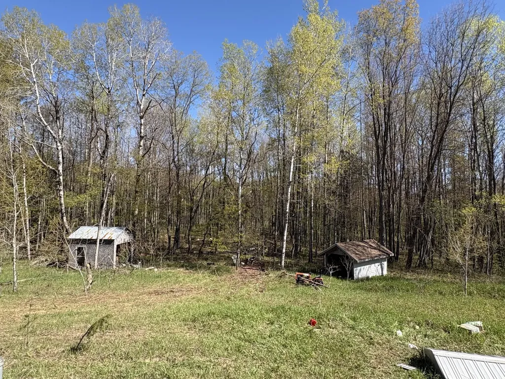 11904 E 8th Street Pinora Township MI 49677