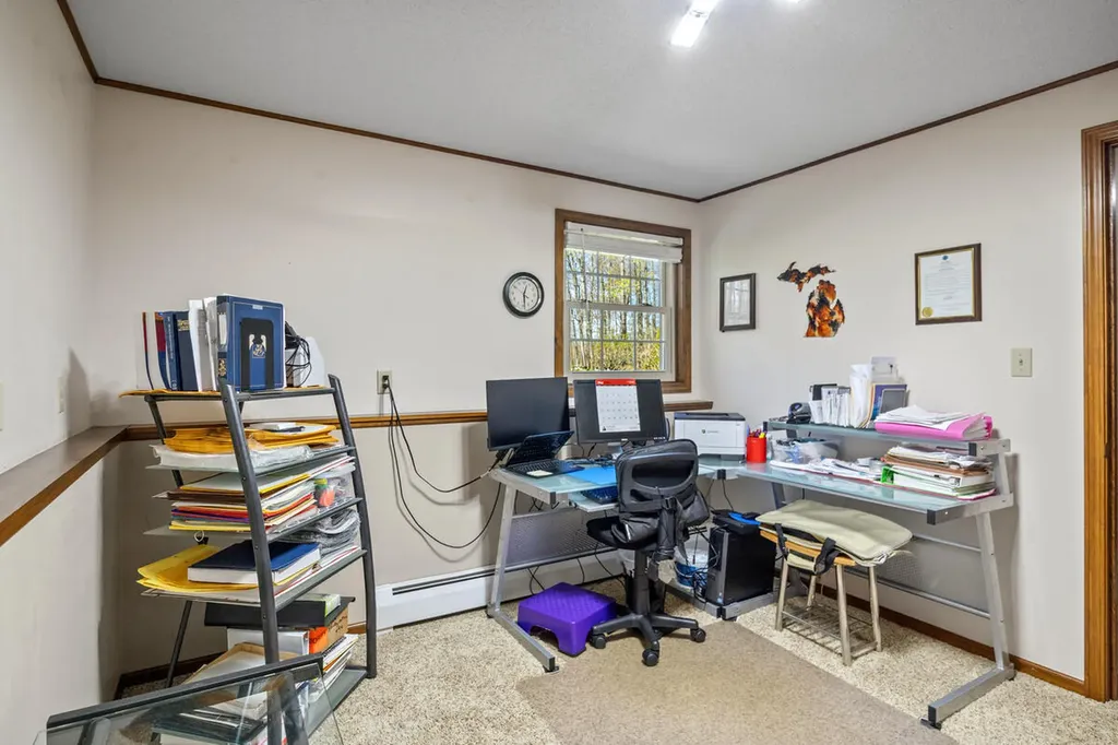 10343 N Walnut Avenue Home Township MI 49309