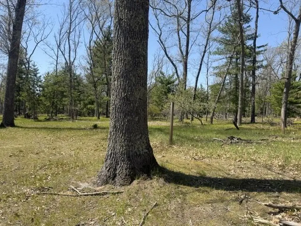 9227 S Star Lake Drive Lake Township MI 49304