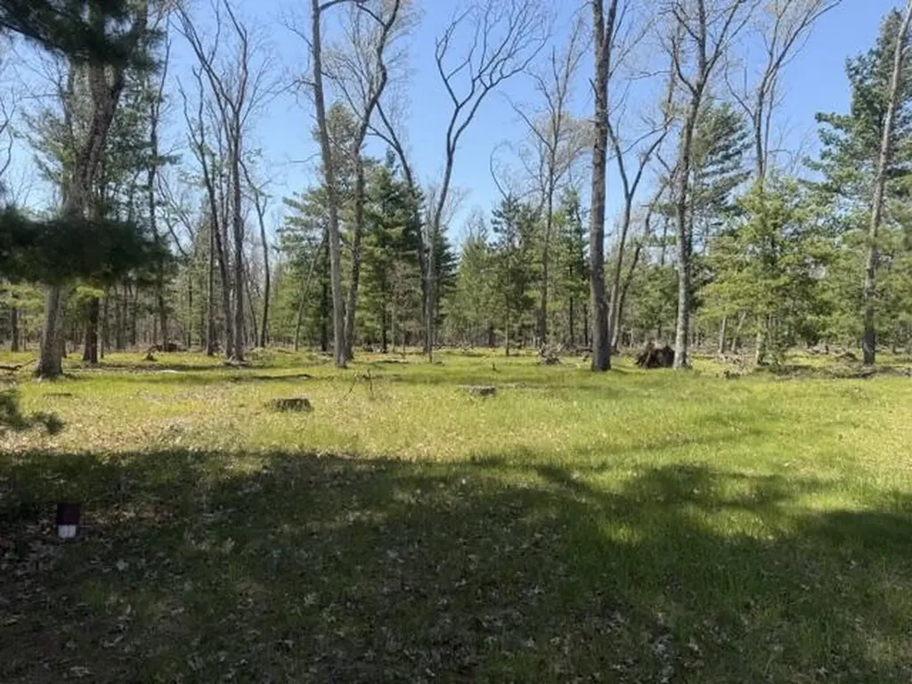 9227 S Star Lake Drive Lake Township MI 49304