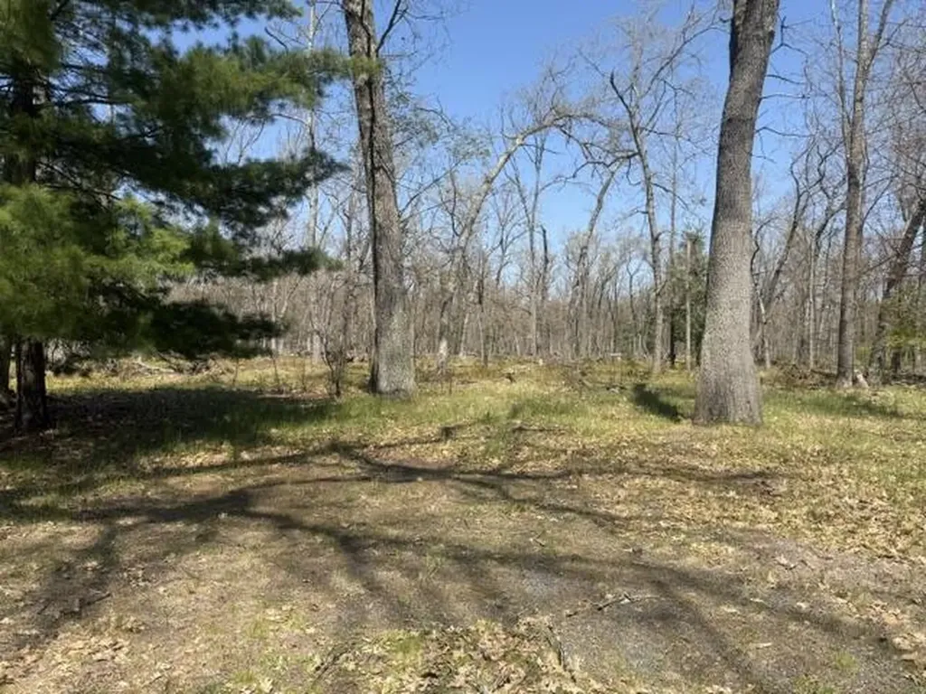 9227 S Star Lake Drive Lake Township MI 49304