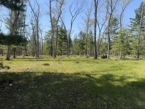 9227 S Star Lake Drive Lake Township MI 49304